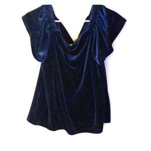 Like new WHBM velvet off the shoulder top
